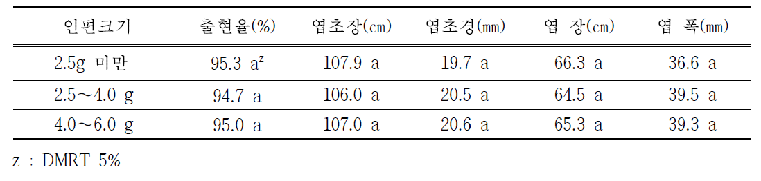 조직배양 종구의 인편 크기별 지상부 생육 비교