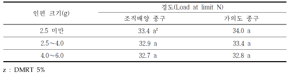 마늘 종구 인편크기별 경도조사