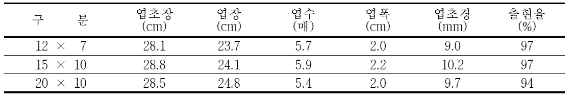 마늘 파종 재식거리별 3월 지상부 생육특성