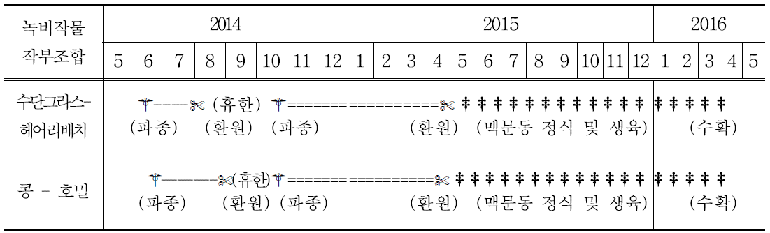 녹비작물과 맥문동 재배 모식도