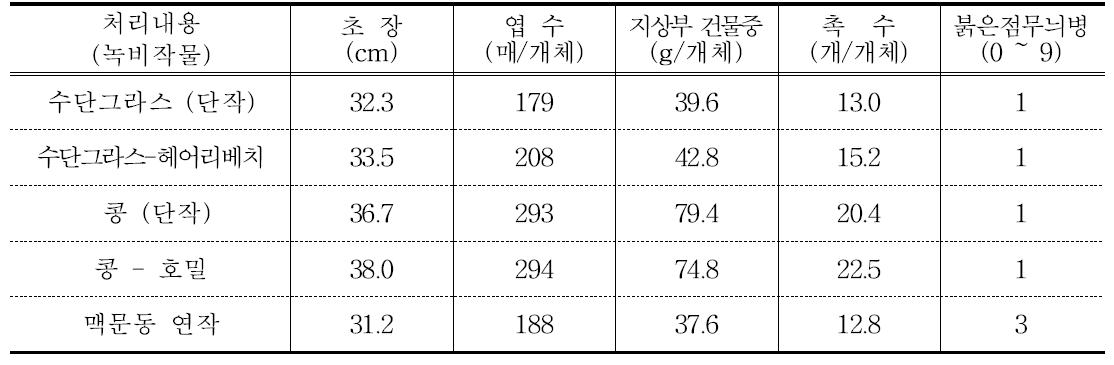 맥문동 지상부 생육