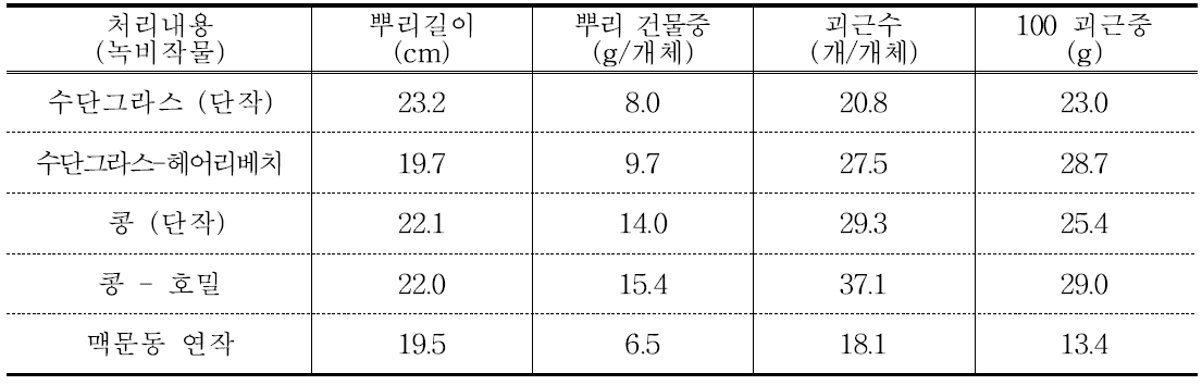 맥문동 지하부 생육