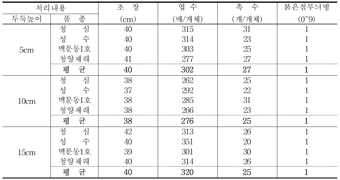 두둑높이에 따른 품종별 지상부 생육 비교