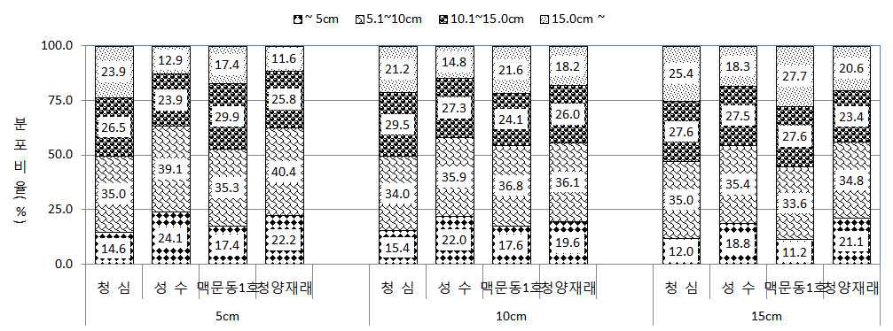 두둑높이에 따른 품종별 괴근 착생 심도 분포