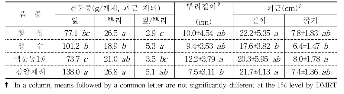 맥문동 품종의 뿌리특성 비교