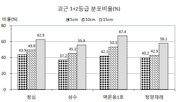 두둑높이에 따른 괴근등급별 분포 비욜