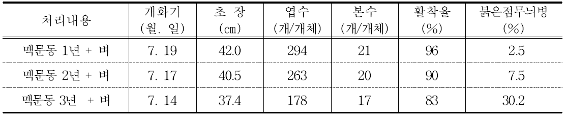 논 연작연수에 따른 맥문동 생육상황