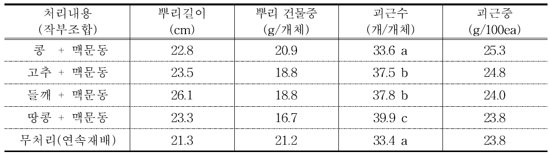 맥문동 지하부 생육