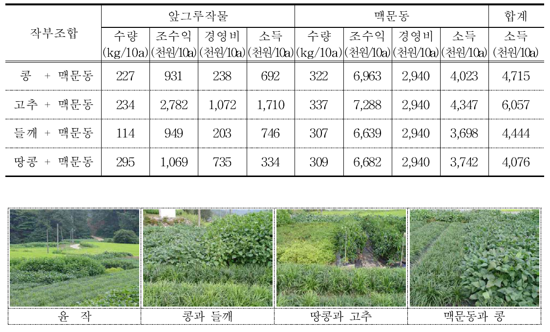 앞그루작물과의 작부조합에 따른 농가소득 비교