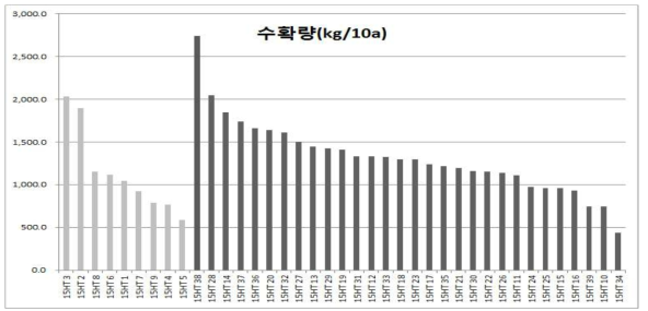 고온조건 재배시 평가계통들의 수확량(kg/10a)