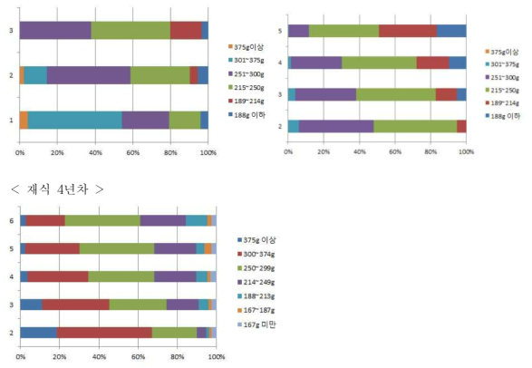 썸머킹 사과의 유목기 착과수준별 과중 분포