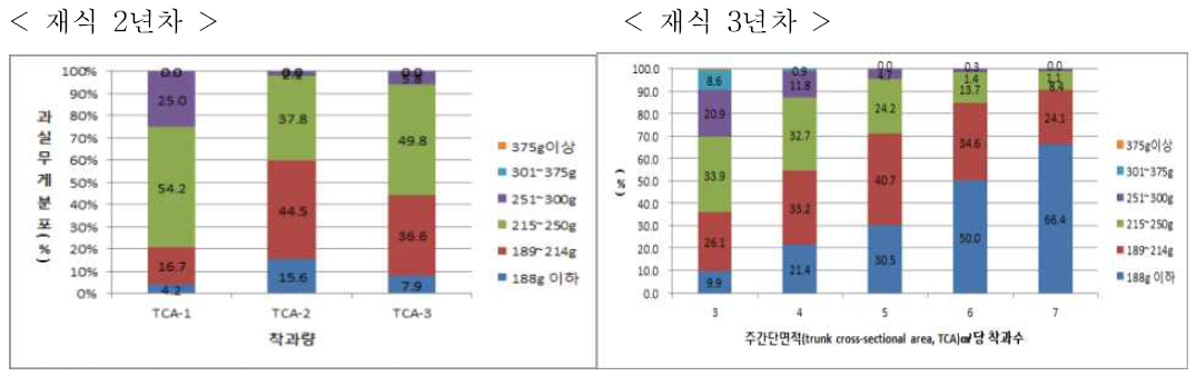 썸머킹 사과의 유목기 착과수준별 과중 분포