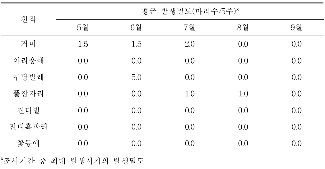 재식 2년차 썸머킹 품종의 주요 천적의 발생밀도(5∼10월, 2회/월)