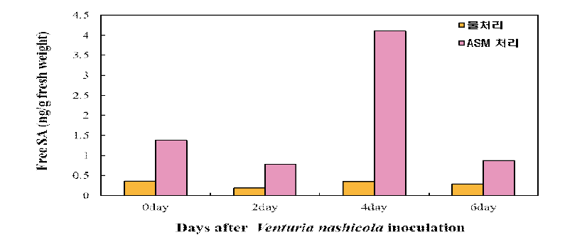 ASM 처리된 배 실생묘에 검은별무늬병균 분생포자 접종 후 증폭된 병저항성 식물호르몬 SA 함량