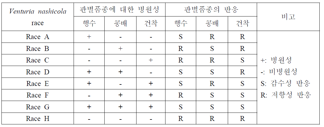 배나무 검은별무늬병균 Venturia nashicola의 병원형(race) 판별 기준.