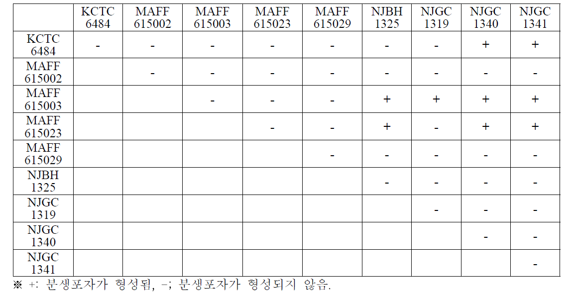 배나무 검은별무늬병균 Venturia nashicola 혼합배양에 의한 분생포자 형성유무