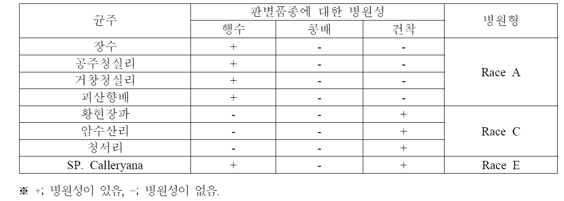 배나무 엽병 접종에 의한 배나무 검은별무늬병균의 병원형(race) 판별