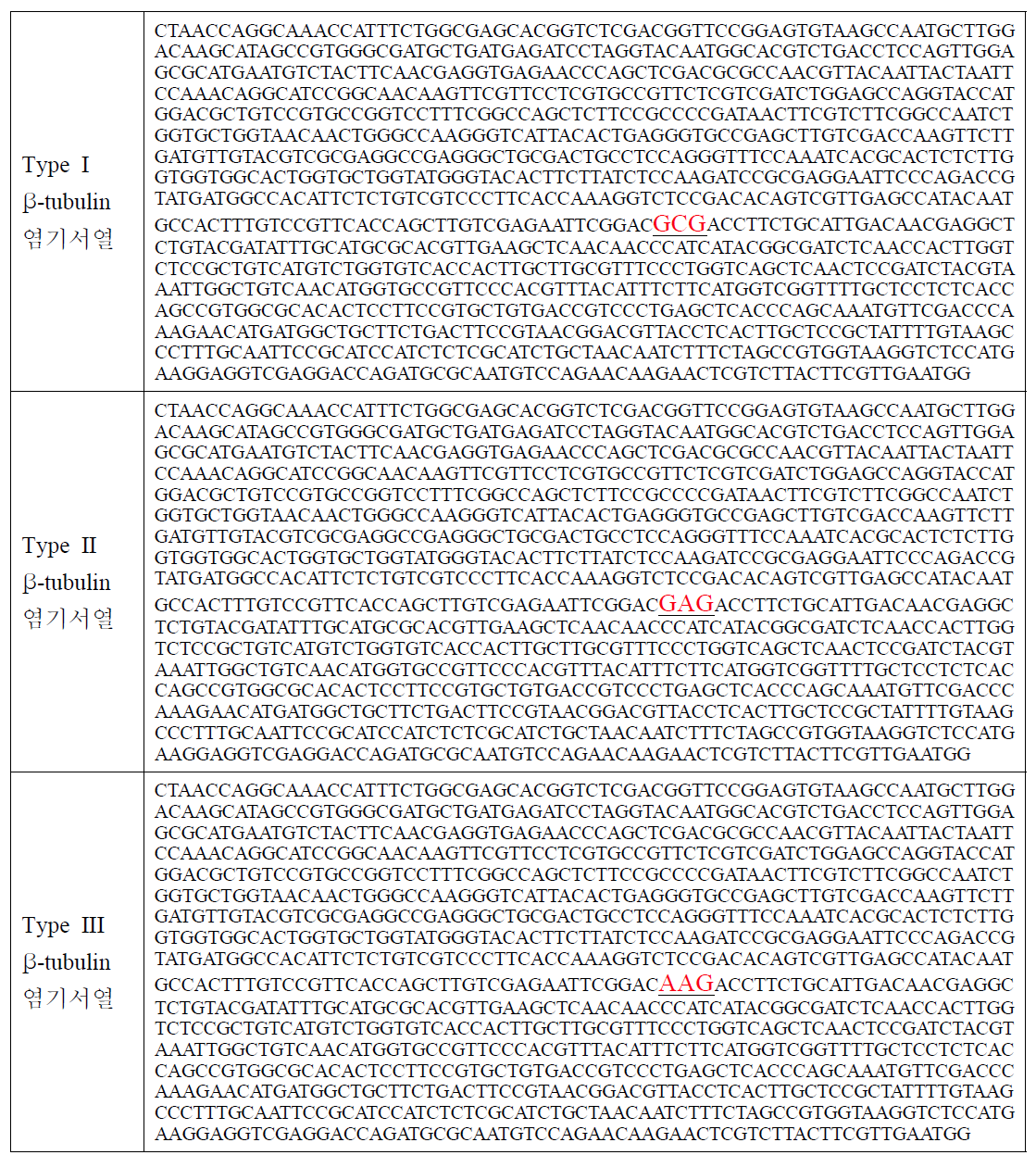 β-tubulin에 의한 배나무 검은별무늬병균의 세 가지 분류군의 염기서열 차이.