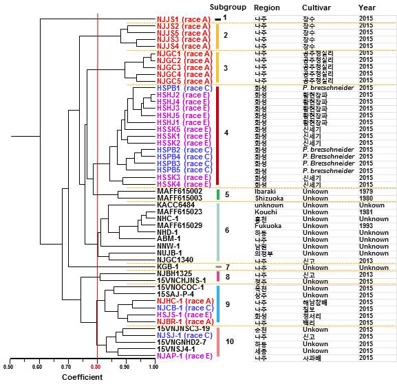 배나무 검은별무늬병균 Venturia nashicola의 RAPD 패턴에 따른 dendrogram.