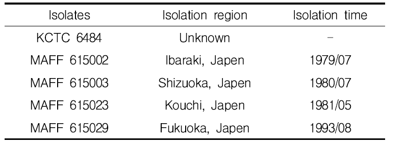 Isolates of Venturia nashicola used in this study