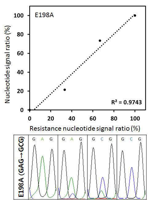 Identification of detection sensitivity for the substituted DNA base used for quantitative sequencing(QS). Two kinds of DNA base phenotype(GAG : GCG) were mixed in each ratio as 3:0, 2:1, 1:2, 0:3.