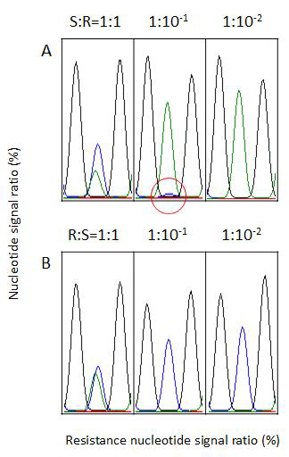 Detection limit of nucleotide signal of benzimidazole-sensitive isolate(S) to resistant isolate(R) in QS.