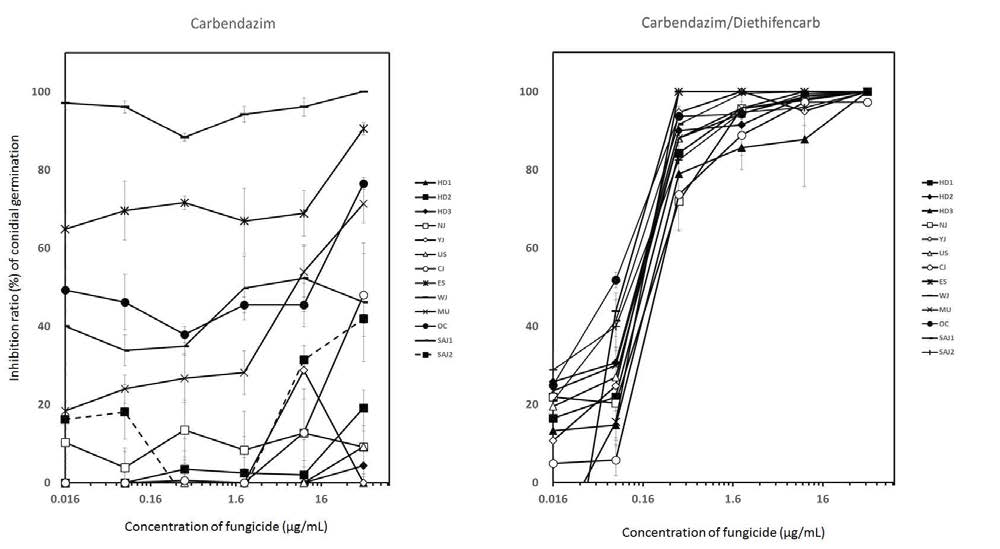 Inhibition of conidial germination of Venturia nashicola on water agar amended with carbendazim (Left) and the mixture of carbendazim and diethofencarb (Right) by the indicated concentration.