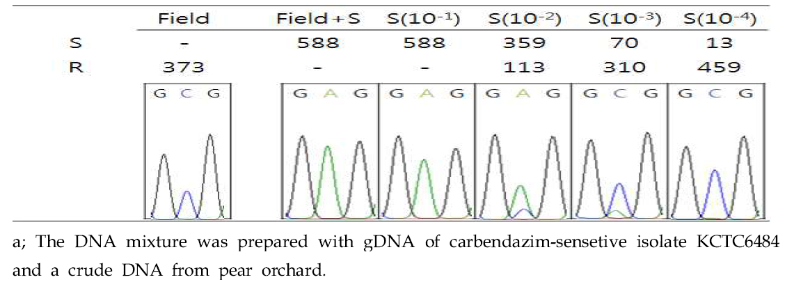 Verification of sensitive nucleotide signal (A, adenine) in the DNA mixturea through quantitative sequencing method