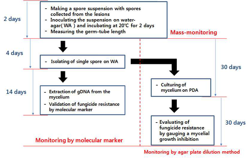 The scheme of three different methods for fungicide resistance monitoring in V. nashicola.