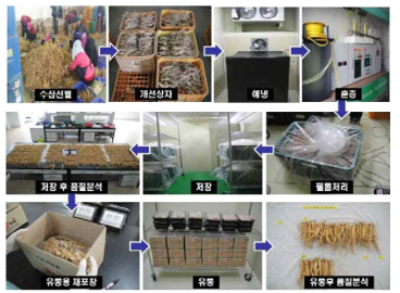 인삼 신선도유지체계 실험 과정