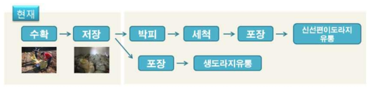 도라지 수확후 관리체계 현황