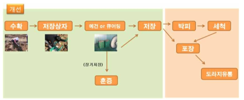 도라지 수확후 관리체계 개선 방향