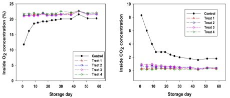 저장방식별 저장기간 경과에 따른 포장 내부 산소와 이산화탄소 농도 변화