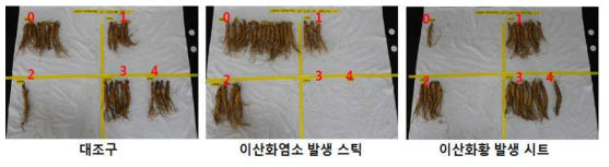 유통온도 10℃에서 20일 경과 후 부패지수 분류 모습