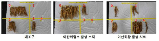 유통온도 18℃에서 10일 경과 후 부패지수 분류 모습