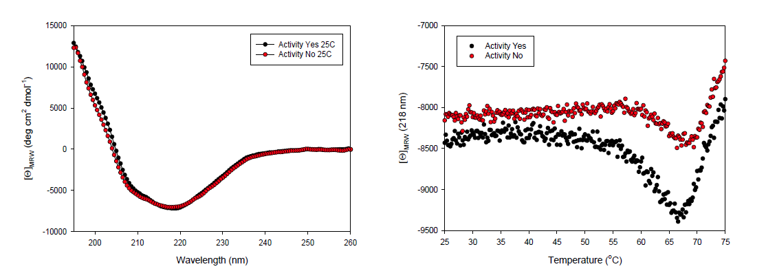 3D8 scFv 재조합 단백질의 활성 유무에 따른 이차구조(좌) 및 열안정성(우) 분석
