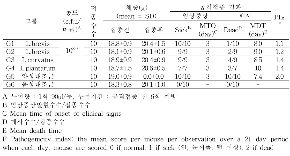 항인플루엔자 유산균 선별 2차 시험 결과