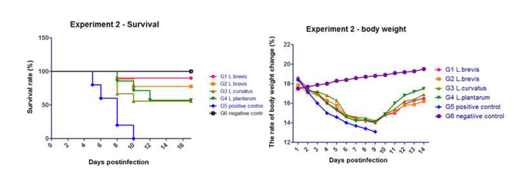 2차 유산균 선발 시험의 생존률 및 체중변화 그래프