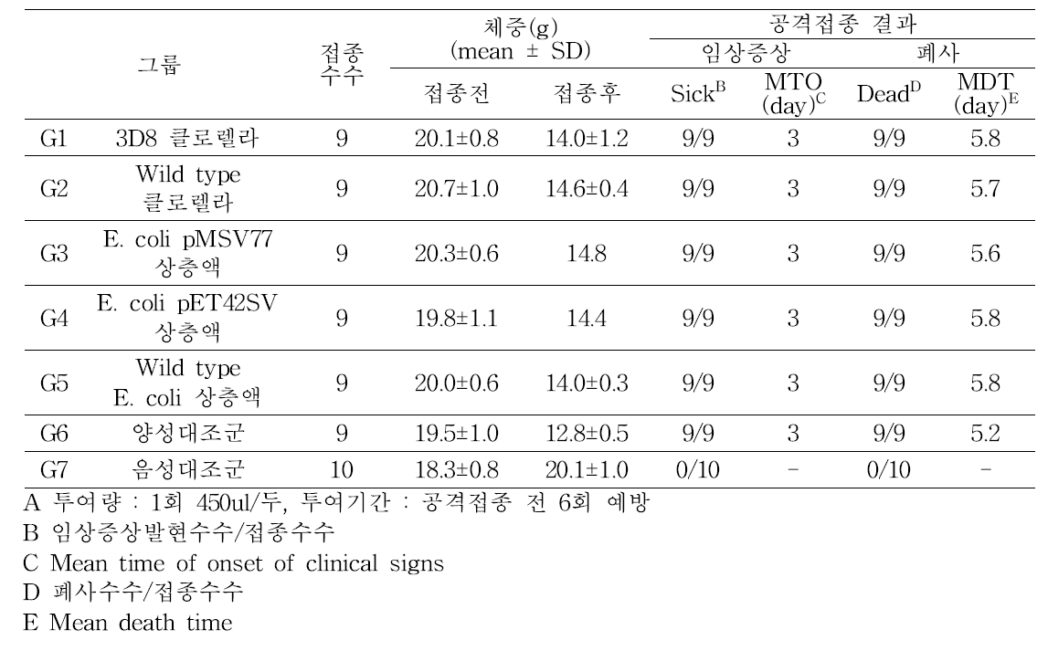 형질전환 클로렐라 및 대장균 상층액의 항인플루엔자 효능 시험 결과