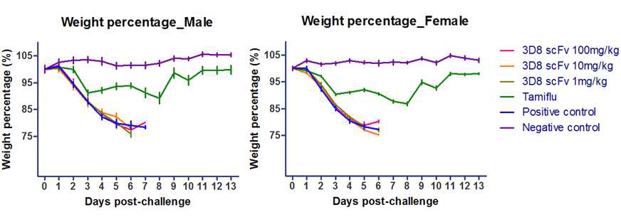 항-바이러스 3D8 scFv 핵산가수분해 항체 정제 단백질 및 Tamiflu 투여 시 수컷(왼쪽)과 암컷(오른쪽)의 공격접종 후 체중변화율 그래프