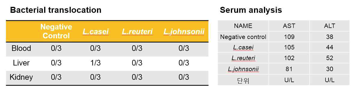 Bacterial translocation 관찰과 serum내 ALT/AST level의 측정
