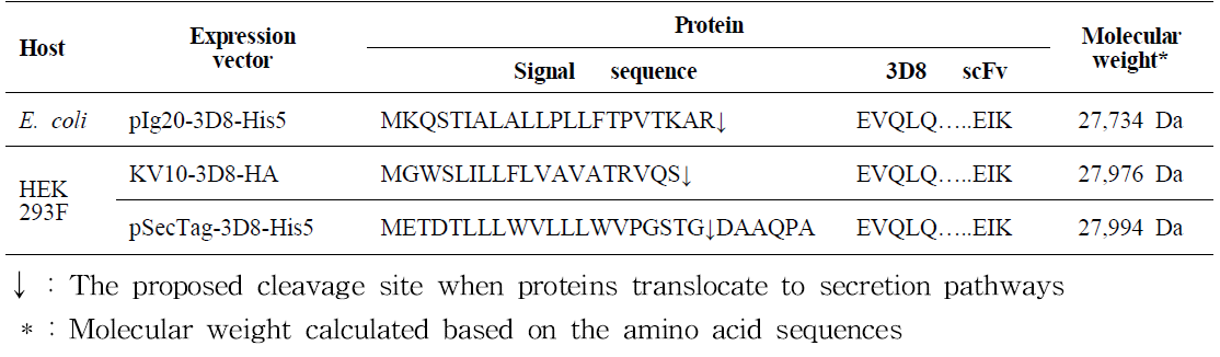 The signal peptide cleavage sites, N- and C-terminal amino acids of 3D8 scFv that are expressed from different vectors
