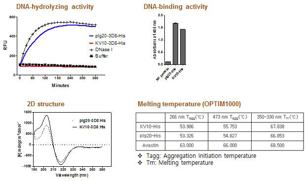 대장균에서 발현된 3D8-His와 HEK293 세포에서 발현된 3D8-His의 DNA 가수분해활성, DNA 결합 활성, 2차 구조 및 열에 대한 안정성 분석결과