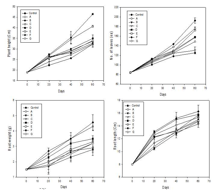 Comparison of root growth of the Hedera hellix according to the type of mixed pot media for the Bio Wall system.