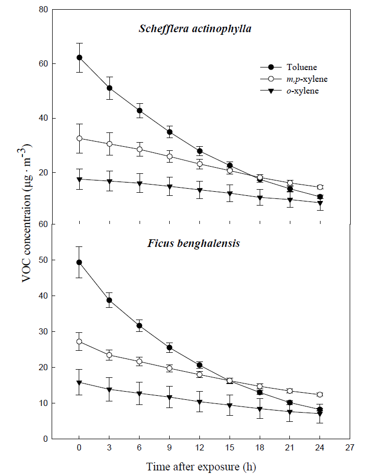 Decline of gaseous toluene and xylene caused by potted Schefflera actinophylla and Ficus benghalensis. Three potted plants were exposed for 24 h in a sealed chamber (1.0 m3) at a light intensity of 20 ± 2 μmol·m-2·s-1. Vertical bars denote the SE (n=6).