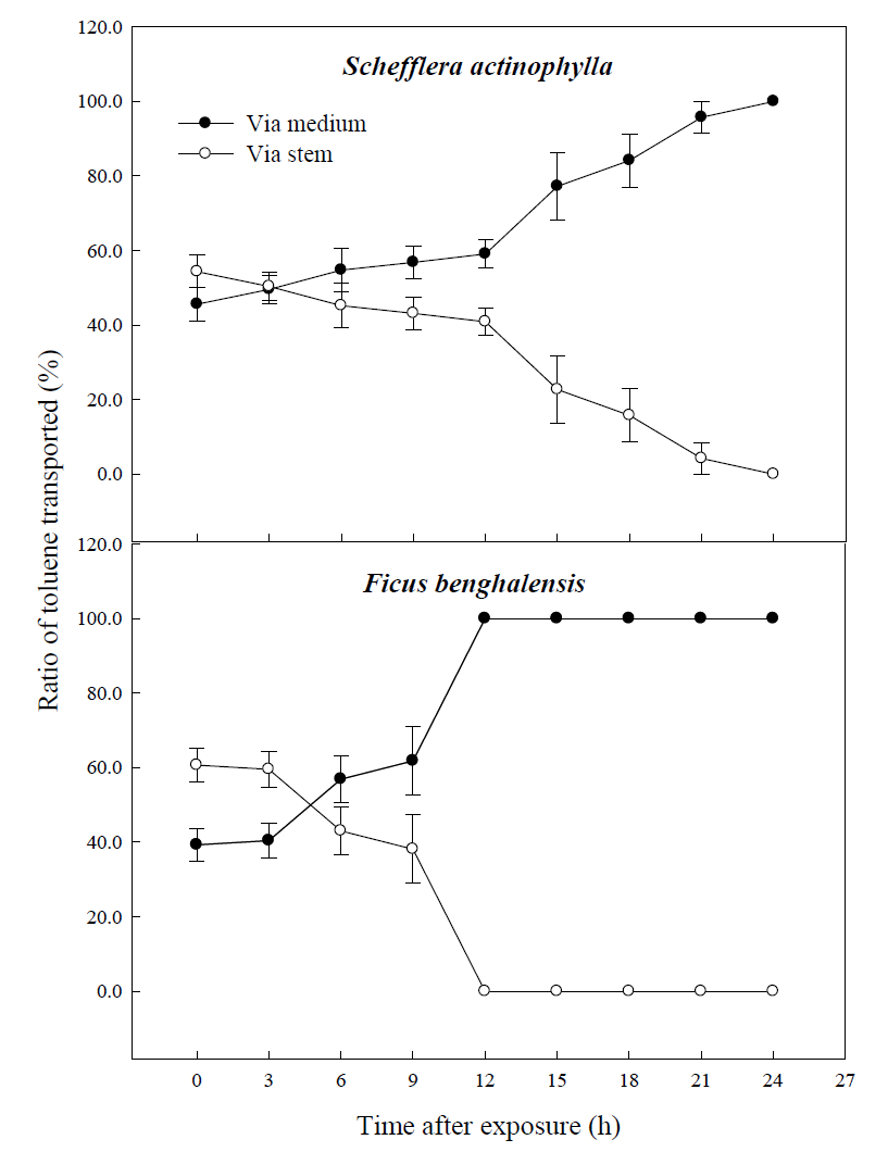 Comparison of gaseous toluene ratio transported from air to root zone; via stem to root (S) and directly via medium (M) (i.e., S or M/(S + M) x 100%) of potted Schefflera actinophylla and Ficus benghalensis. Gaseous toluene was sampled inside medium of pot plants wrapping shoot or root zone. Three potted plants were exposed for 24 h in a sealed chamber (1.0 m3) at a light intensity of 20 ± 2 μmol·m-2·s-1. Vertical bars denote the SE (n=6).