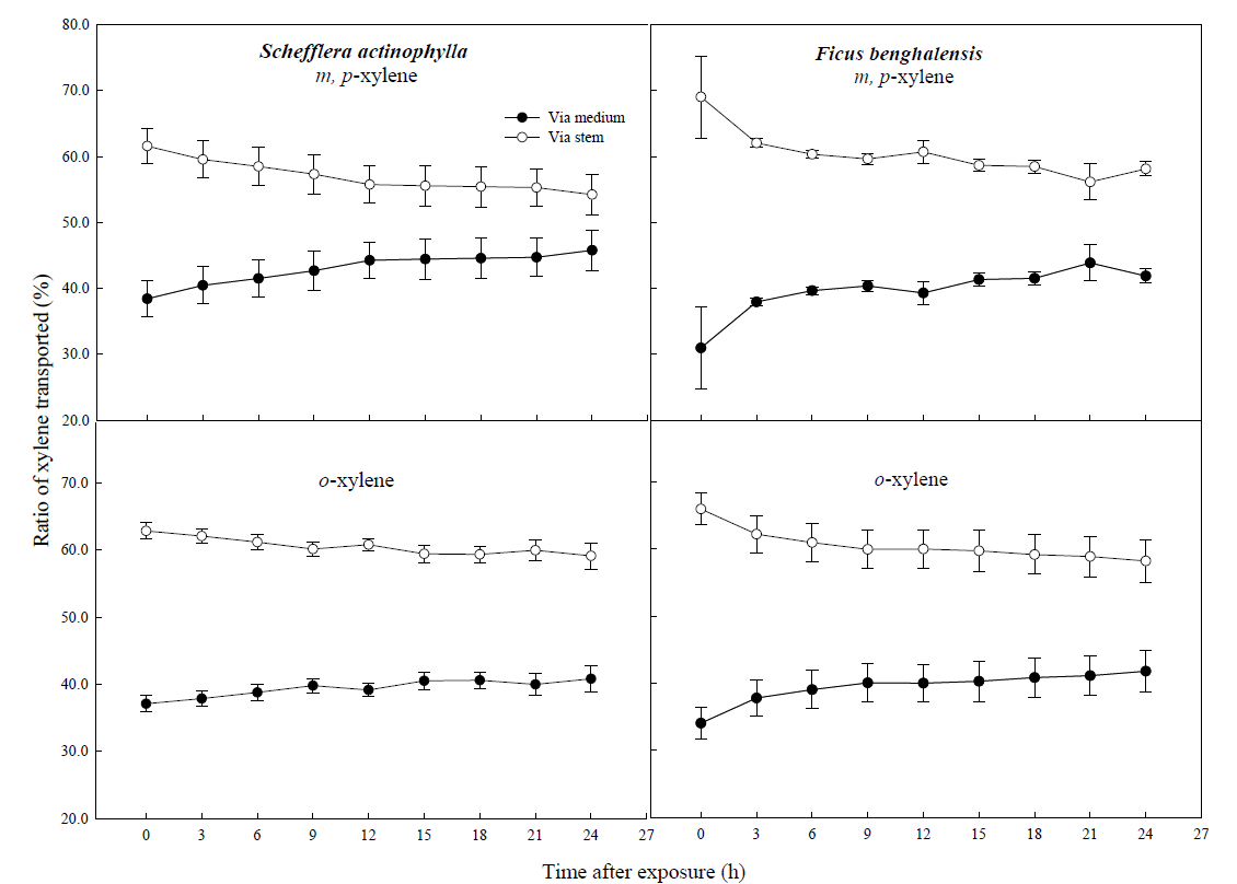 Comparison of gaseous xylene transported from air to root zone; via stem to root (S) and directly via medium (M) (i.e., S or M/(S + M) x 100%) of potted Schefflera actinophylla and Ficus benghalensis. Gaseous xylene was sampled inside medium of pot plants wrapping shoot or root zone.