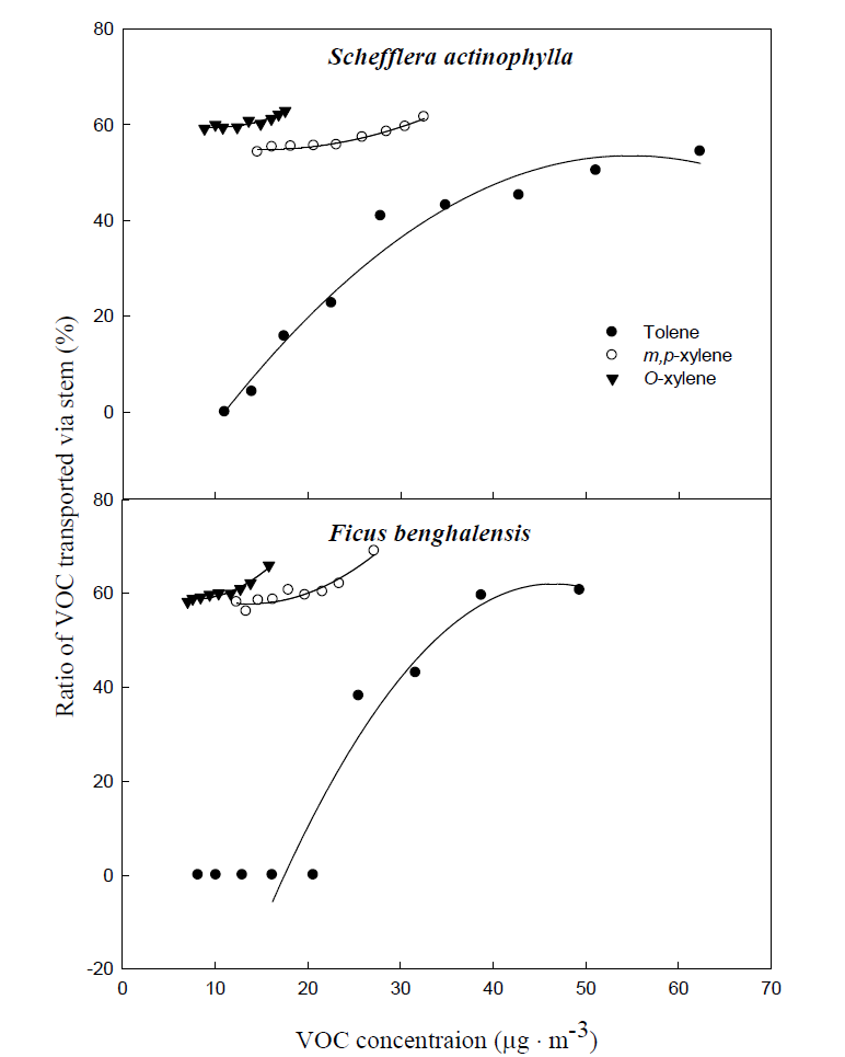 Gaseous toluene and xylene ratio transported from air to root zone via stem according to VOC concentration. Gaseous toluene and xylene were sampled inside medium of pot plants wrapping root zone. Three potted plants were exposed for 24 h in a sealed chamber (1.0 m3) at a light intensity of 20 ± 2 μmol·m-2·s-1. Vertical bars denote the SE (n=6).