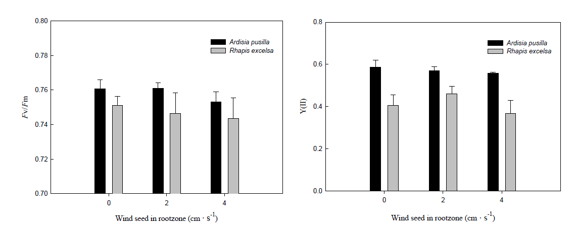 실내식물 근권부 통기량에 따른 Fv/Fm, Y(Ⅱ) 제거량 변화