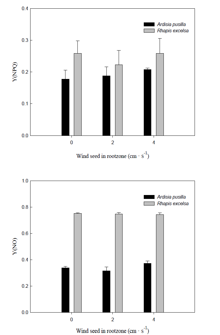 실내식물 근권부 통기량에 따른 Y(NPQ), Y(NO) 변화